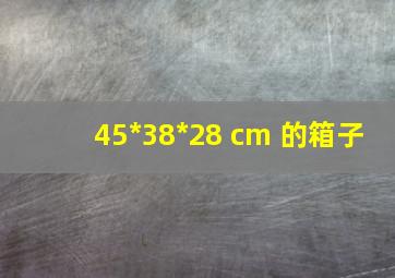 45*38*28 cm 的箱子